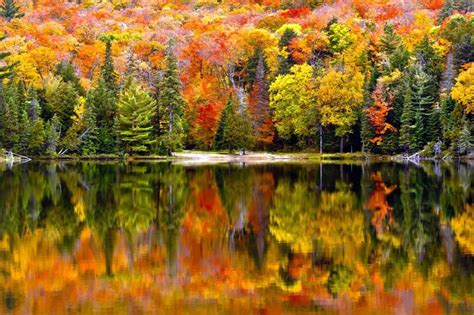 Fall Colours in Ontario: Muskoka Leaf-Peeping