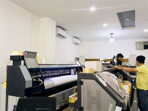 phoi  la gi cac loai phoi  duoc su dung pho bien nhat hien nay