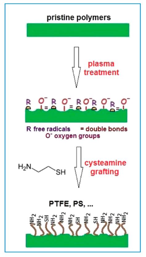 Materials Free Full Text Surface Modification Of Polymer Substrates