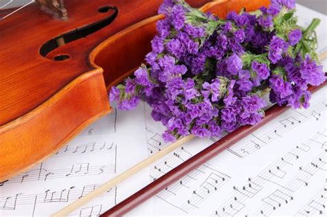 Premium Photo | Classical violin on notes