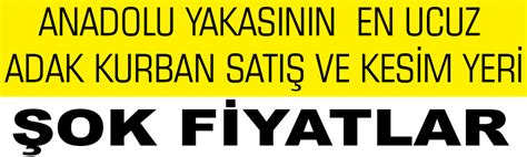 Erenk Y Adak Fiyatlar Erenk Y Kurban Fiyatlar Erenk Y