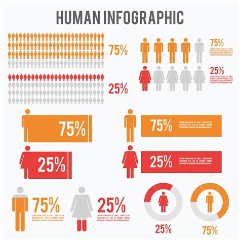 Human Infographics Premium Vector