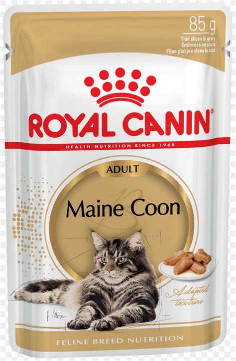 Royal Canin Maine Coon Dry Cat Food Royal Canin Maine Coon Dry Cat Food