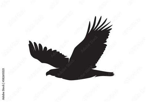 Bald Eagle in flight silhouette vector isolated on white. Flying Eagle ...