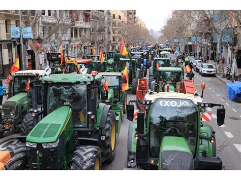 Manifestación de agricultores y ganaderos en torno a la Puerta de