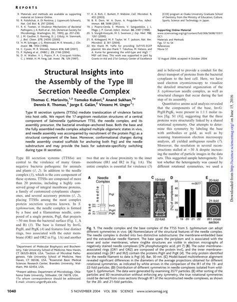 Pdf Structural Insights Into The Assembly Of The Type Iii Secretion