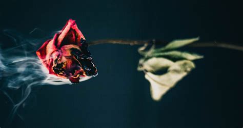 And Death Shall Have No Dominion by Dylan Thomas at Spillwords.com