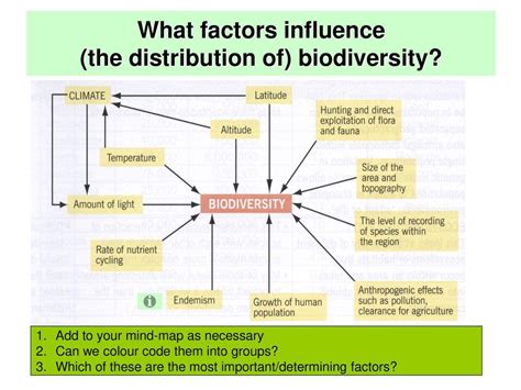 Biodiversity Definition And Examples Biology Online Dictionary