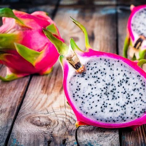 Muda de Pitaya Fábrica de Hortas