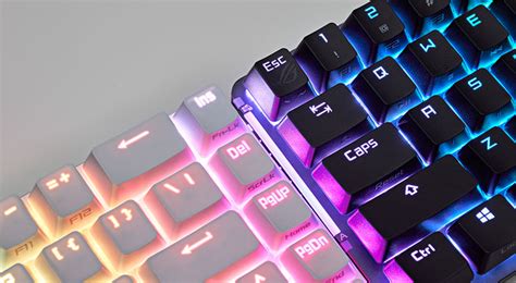 Celebra el Día Mundial de la Tecla ESC en Windows - Technocio