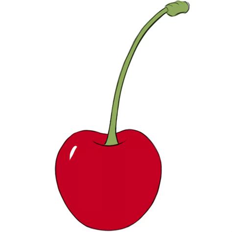 how to draw cherry easy