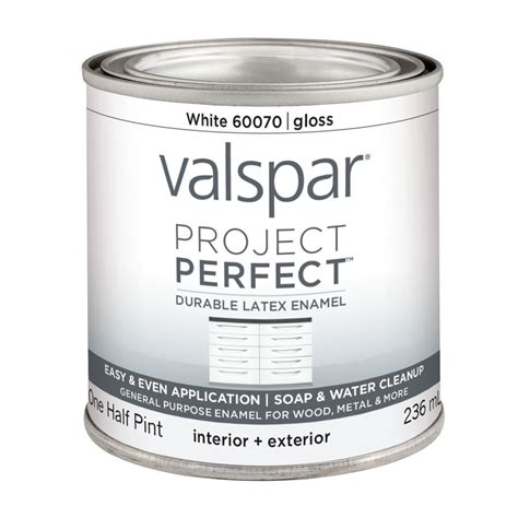 Valspar Project Perfect White Gloss Latex Enamel Interior Exterior