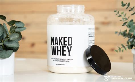 Melhores Whey Protein De 2024 Guia Completo De Compra Melhor Review