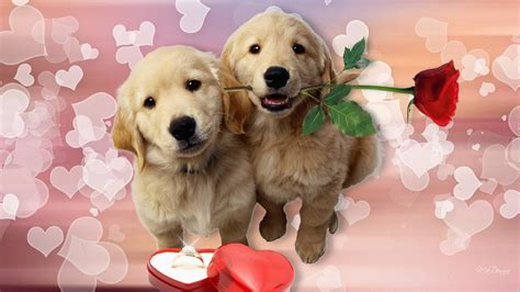 Puppy Valentine Wallpaper (56+ images)