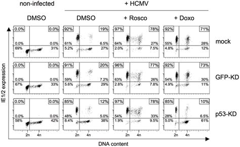 The Roscovitine Mediated Rescue Of Mie Gene Expression In Sg2 Cells Is