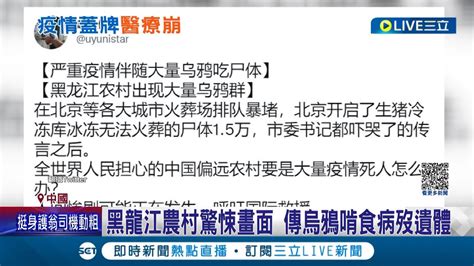 冷凍櫃被塞爆 北京火化車輛塞爆殯儀館 當地市委書記傳嚇哭 冷凍櫃 冰屍 駭人 黑龍江直擊烏鴉啃食路邊遺體│記者 楊駿宗│【國際大現場】20221226│三立新聞台 Youtube