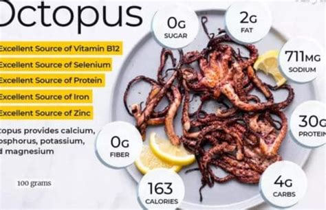 Descubre por qué comer pulpo es beneficioso para tu salud