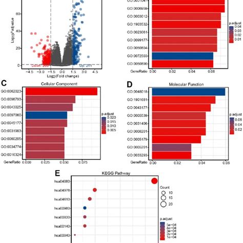 Identification Of Degs And Functional Enrichment Analysis Of Degs A