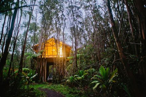 Hawaii Treehouse Airbnb Takes Jungle Living To A Whole New Level