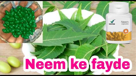 Neem Ke Fayde Neem Benefits Vestige Neem Capsule Benefits In Hindi नीम के फायदे Youtube