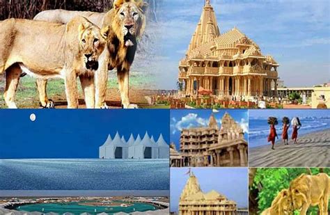 How To Plan Gujarat Tour Package From Delhi