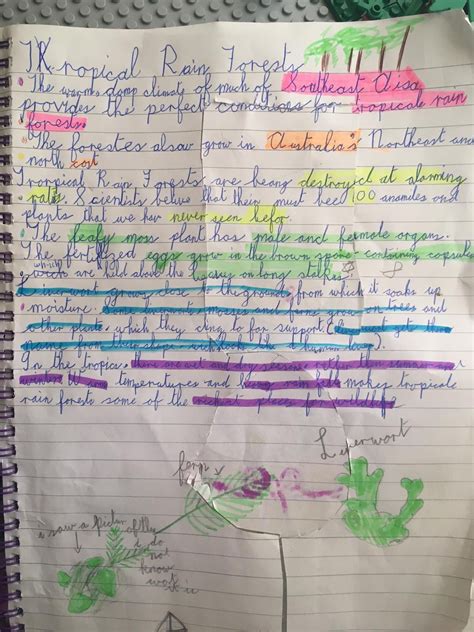 Rainforest projects » TOGHER N.S.