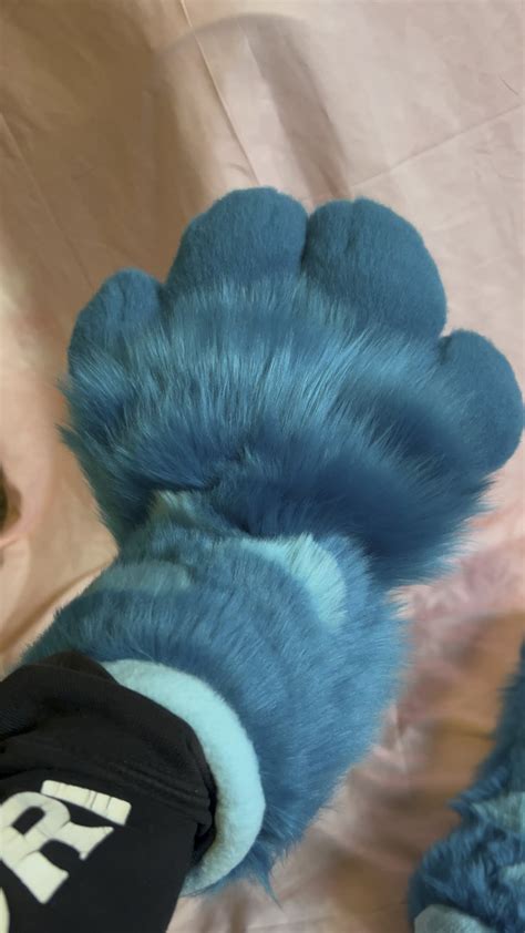 Finished Paws : r/furry