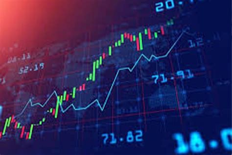 Rde Ied Guia Completo Para O Registro De Investimento Estrangeiro