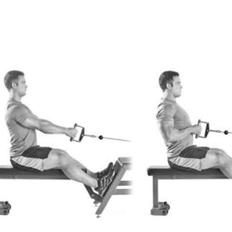 Seated Cable Row Exercise How To Workout Trainer By Skimble