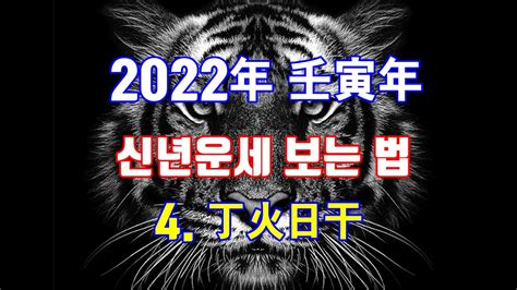 2022년 임인년 신년운세 보는 법 정화일주 Youtube