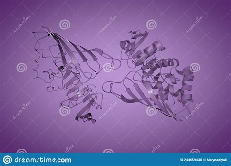 Twinning In Crystals Of Human Skeletal Muscle D Glyceraldehyde 3 Phosphate Dehydrogenase