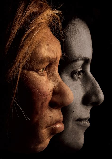 Neanderthal Genes Hold Surprises For Modern Humans