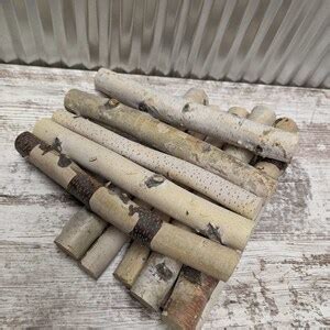 12 Birch Logs - Etsy