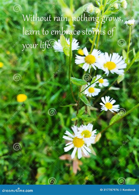 Life Inspirational and Motivational Quotes - without Rain, Nothing
