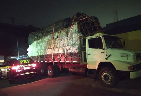 Caminhão que saiu de MS é apreendido mais de 1t de maconha em Minas