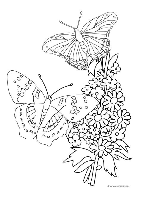 Butterfly Coloring Pages