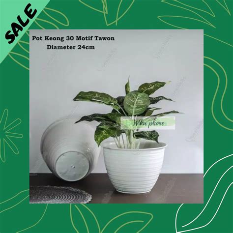 Jual Sale Pot Tanaman Bunga Keong Ukuran Cm Motif Tawon Shopee