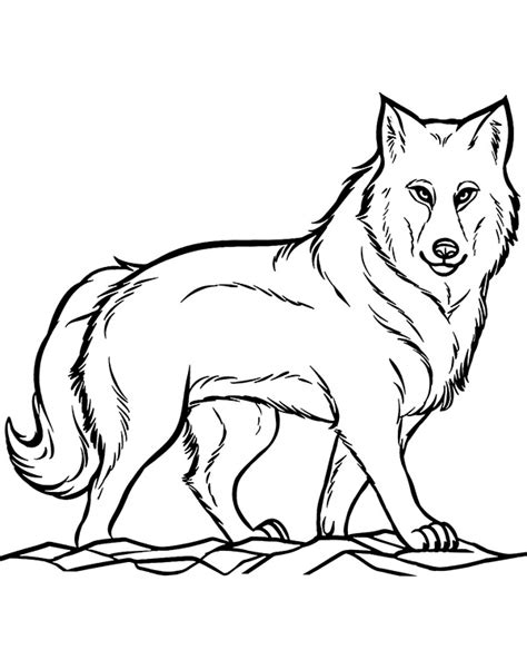 Printable wolf coloring page