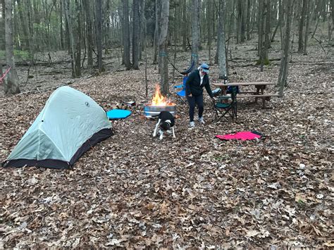 Ferns in the Forest - Hipcamp in , Pennsylvania