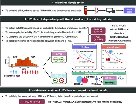 Study Design And Characteristics Of BITH A Blood Based Biomarker For