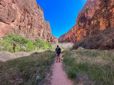 Havasu Falls Hike: Everything You Need to Know - Uprooted Traveler