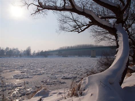 Gratis billeder landskab træ vand afdeling sne vinter himmel