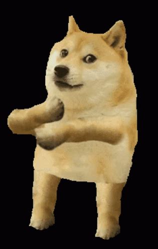 Doge Dancing Like A King GIF - Doge Dancing Like A King - Discover & Share GIFs | Doge gif, Doge ...