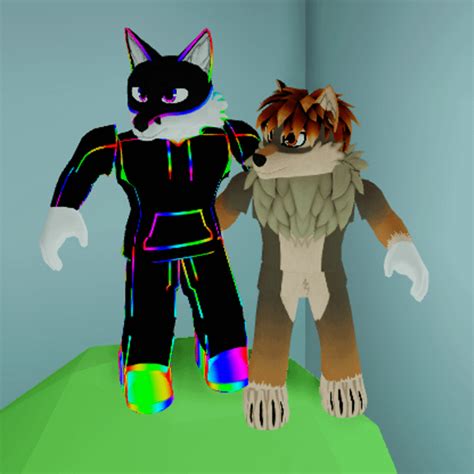 Me And My Friend Hung Out On Roblox As Furries R Furry