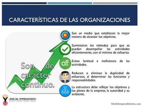 Caracteristicas De La Organizacion