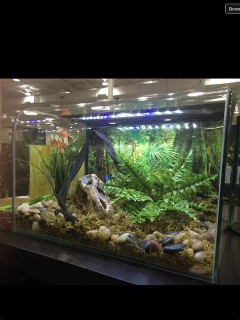 Pin By Dani On Terrarien Reptilien Vivarium Terrarium Pets