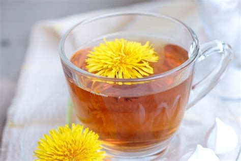 Чай из корня (листьев) одуванчика: польза и вред, как приготовить, чем ...