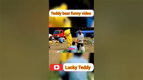 Teddy Bear Funny Video 🤣 So Funny Video 🤣 Lucky Teddy Funny Prank