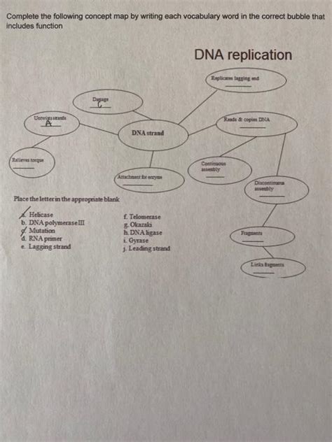 Dna And Rna Concept Map Answers Gillie Donnamarie