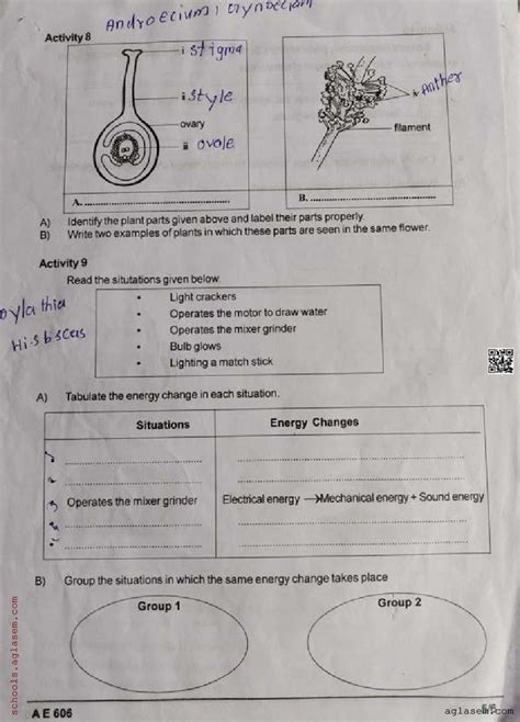 Class 6 Basic Science Onam Exam Question Paper 2024 Kerala Std 6